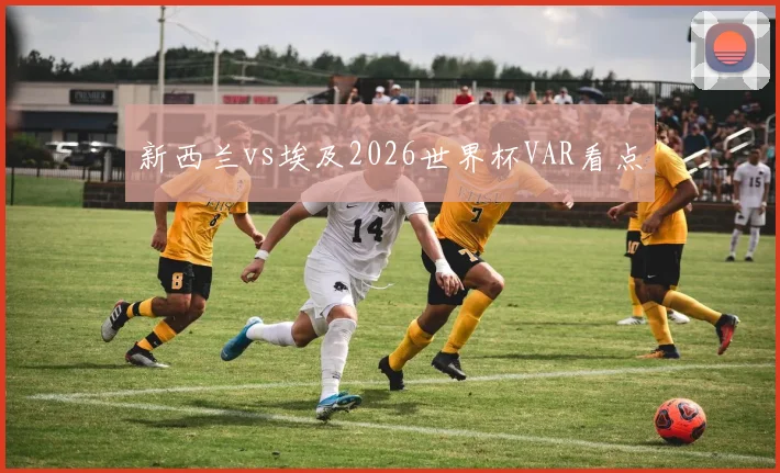 新西兰vs埃及2026世界杯VAR看点