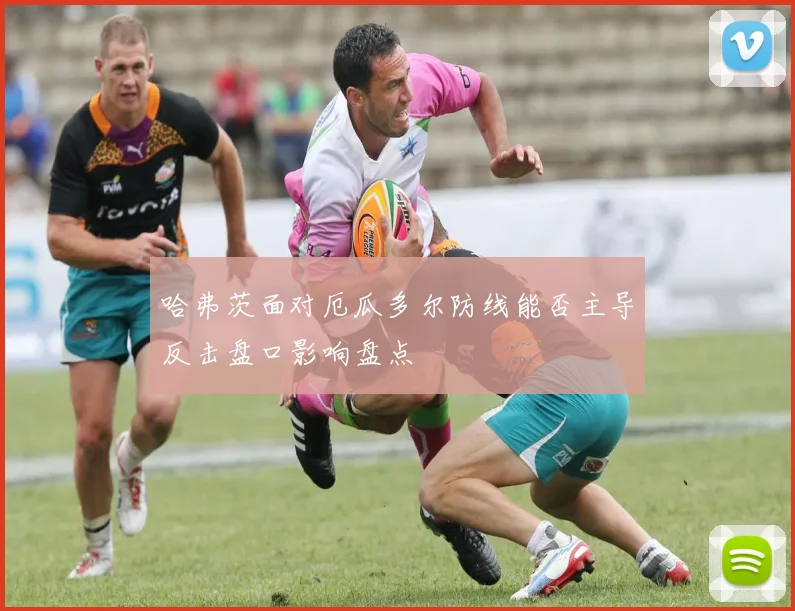哈弗茨面对厄瓜多尔防线能否主导反击盘口影响盘点