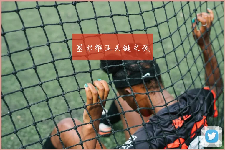 塞尔维亚关键之夜