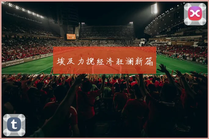 埃及力挽经济狂澜新篇