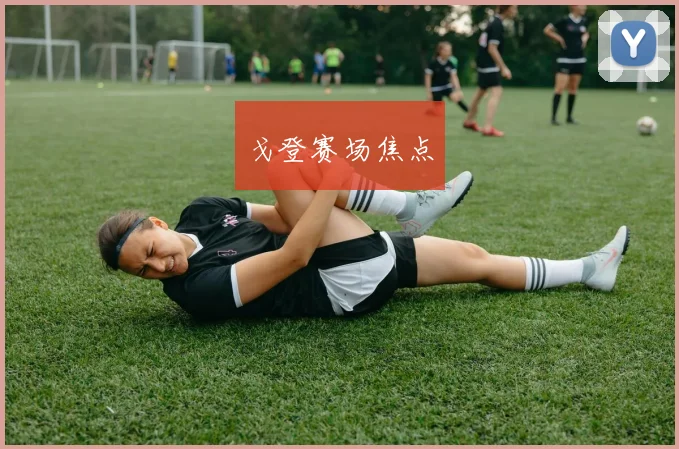 戈登赛场焦点