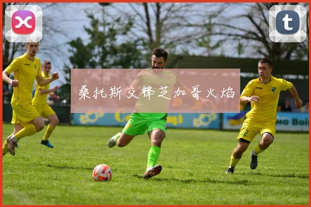 桑托斯交锋芝加哥火焰