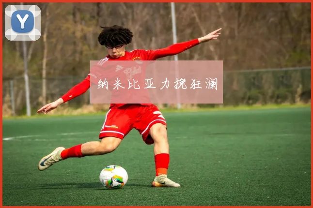 纳米比亚力挽狂澜