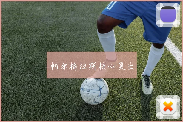 帕尔梅拉斯核心复出