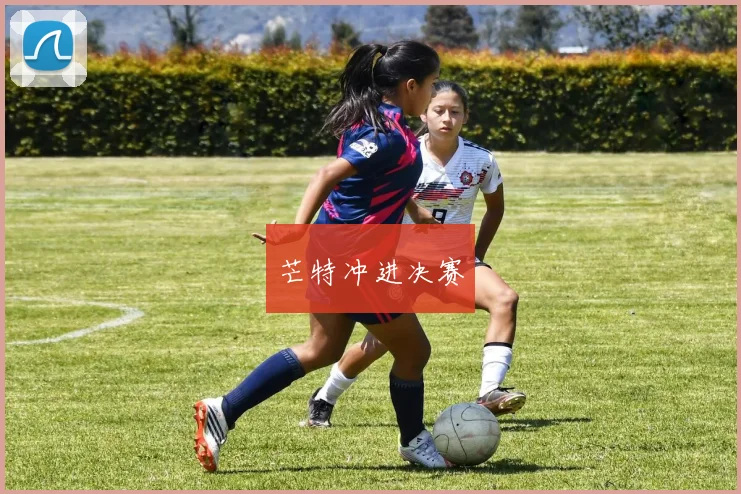 芒特冲进决赛