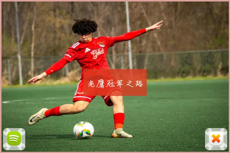 老鹰冠军之路