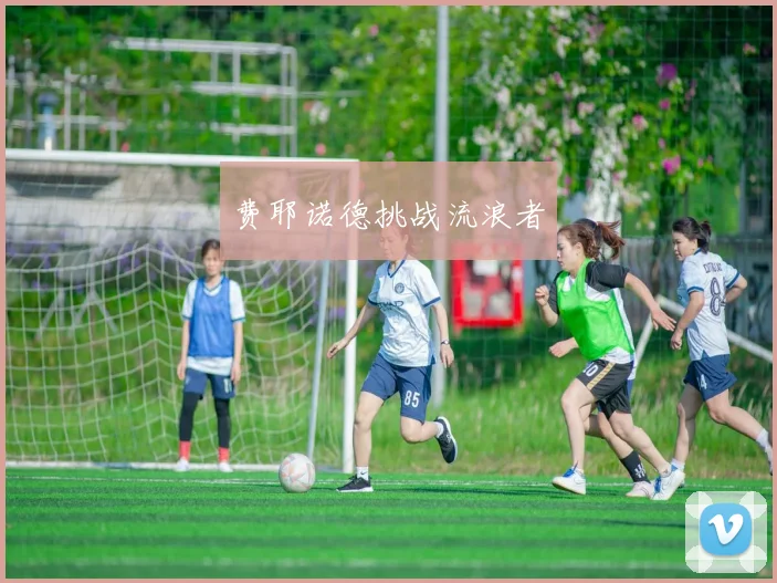 费耶诺德挑战流浪者