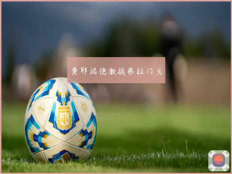 费耶诺德激战弗拉门戈