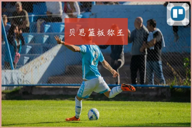 贝恩篮板称王