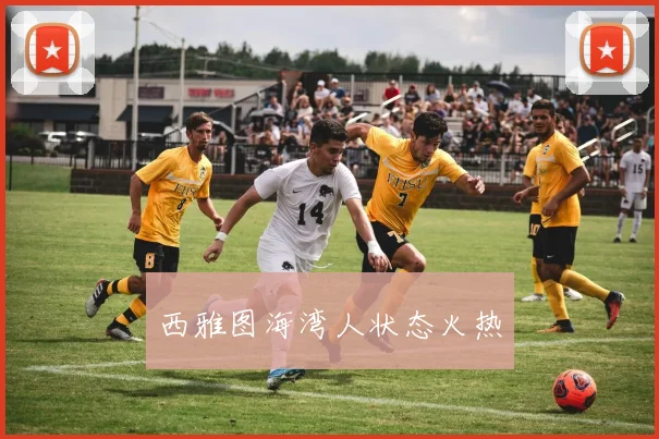 西雅图海湾人状态火热