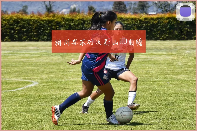梅州客家对决蔚山HD前瞻