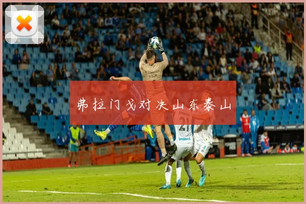 弗拉门戈对决山东泰山