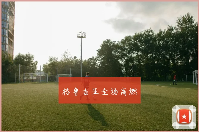 格鲁吉亚全场高燃