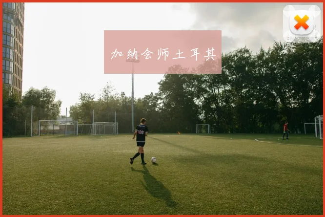 加纳会师土耳其