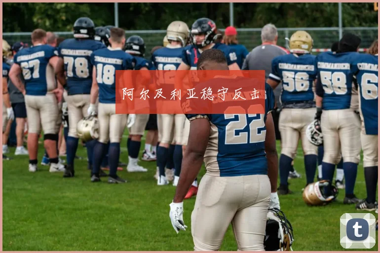 阿尔及利亚稳守反击
