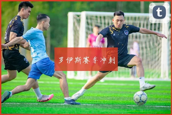 罗伊斯赛季冲刺
