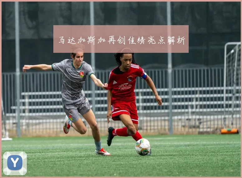马达加斯加再创佳绩亮点解析