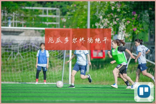 厄瓜多尔终场绝平