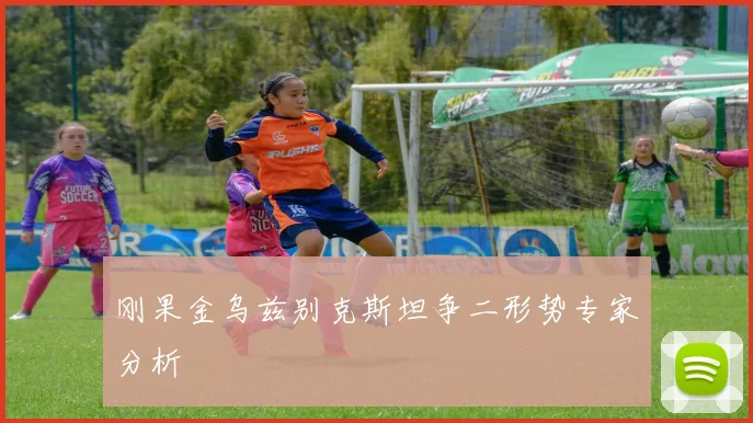 刚果金乌兹别克斯坦争二形势专家分析