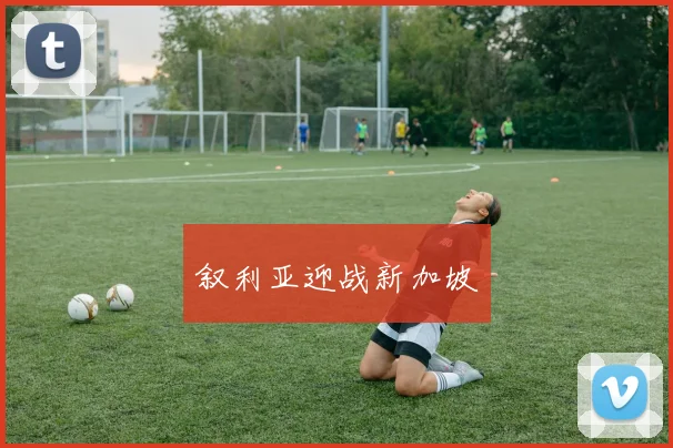 叙利亚迎战新加坡