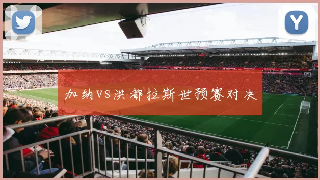 加纳vs洪都拉斯世预赛对决