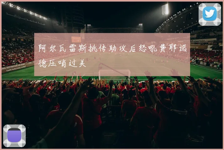阿尔瓦雷斯挑传助攻后怒吼费耶诺德压哨过关