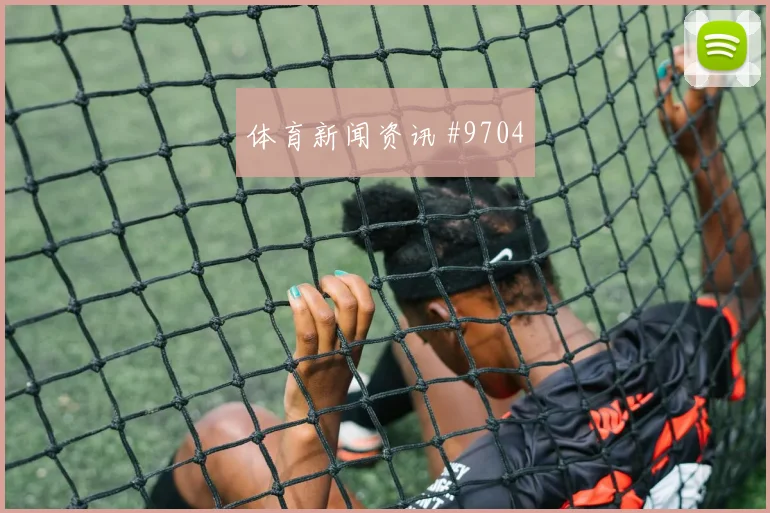 6月14日瑞典vs突尼斯关键对位