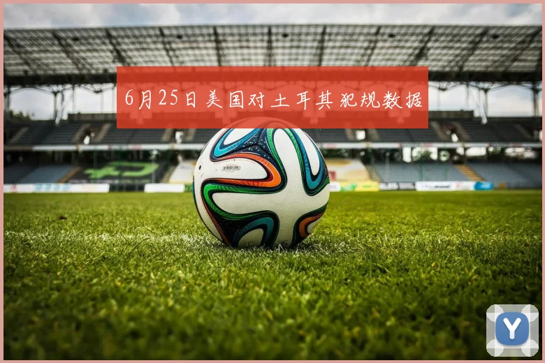 6月25日美国对土耳其犯规数据