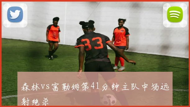 森林vs富勒姆第41分钟主队中场远射绝杀