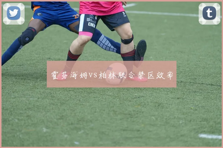 霍芬海姆vs柏林联合禁区效率